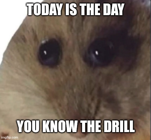 Thanksgiving is upon us | TODAY IS THE DAY; YOU KNOW THE DRILL | image tagged in hampter,raid | made w/ Imgflip meme maker