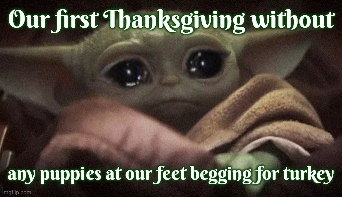Half The Turkey Was Fed To The Dogs Under The Table Every Thanksgiving And This Year There Are No Dogs To Feed Turkey To | Our first Thanksgiving without; any puppies at our feet begging for turkey | image tagged in crying baby yoda,sad,i miss my dogs,happy thanksgiving,broken heart,memes | made w/ Imgflip meme maker