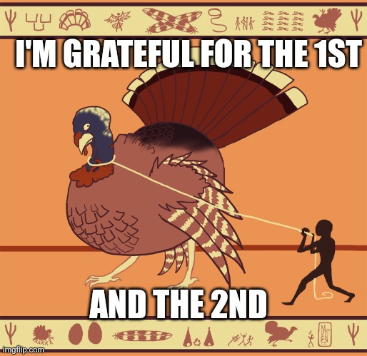 I'M GRATEFUL FOR THE 1ST; AND THE 2ND | image tagged in funny memes | made w/ Imgflip meme maker