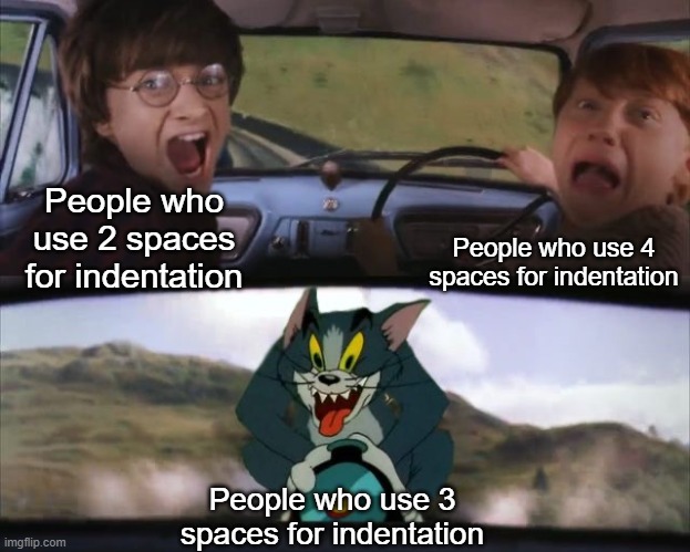indentation spaces war | People who use 4 spaces for indentation; People who use 2 spaces for indentation; People who use 3 spaces for indentation | image tagged in tom chasing harry and ron weasly | made w/ Imgflip meme maker