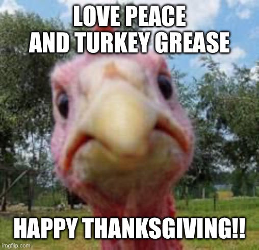 turkey | LOVE PEACE AND TURKEY GREASE; HAPPY THANKSGIVING!! | image tagged in turkey | made w/ Imgflip meme maker