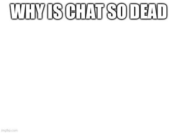 WHY IS CHAT SO DEAD | made w/ Imgflip meme maker