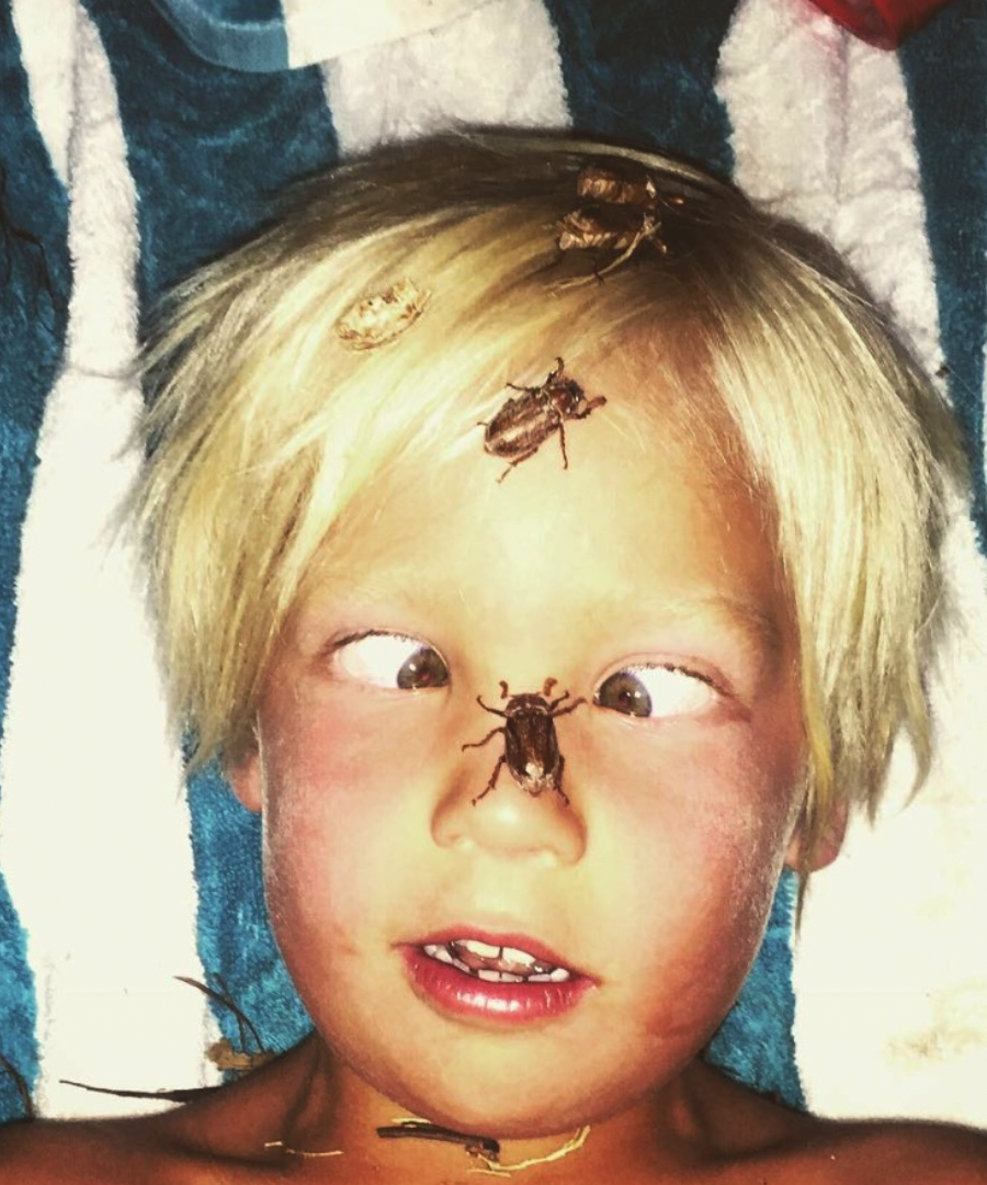 High Quality roaches on kids face Blank Meme Template