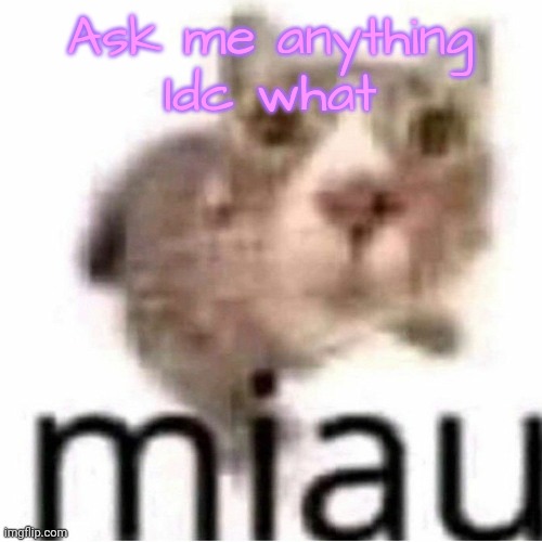 miau | Ask me anything
Idc what | image tagged in miau | made w/ Imgflip meme maker