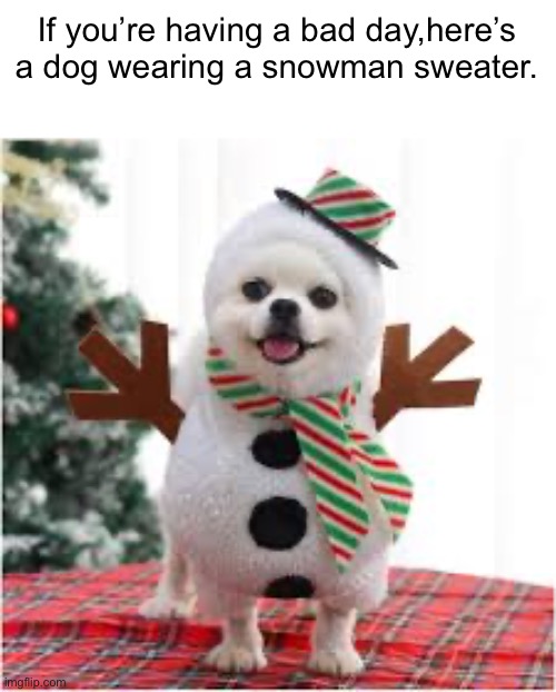 Google dogs wearing cute clothes | If you’re having a bad day,here’s a dog wearing a snowman sweater. | image tagged in dogs,cute,costumes | made w/ Imgflip meme maker
