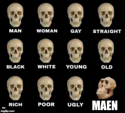 idiot skull | MAEN HELLO | image tagged in idiot skull | made w/ Imgflip meme maker