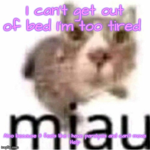 miau | I can't get out of bed I'm too tired; Also because it feels like I have paralysis and can't move
Help | image tagged in miau | made w/ Imgflip meme maker