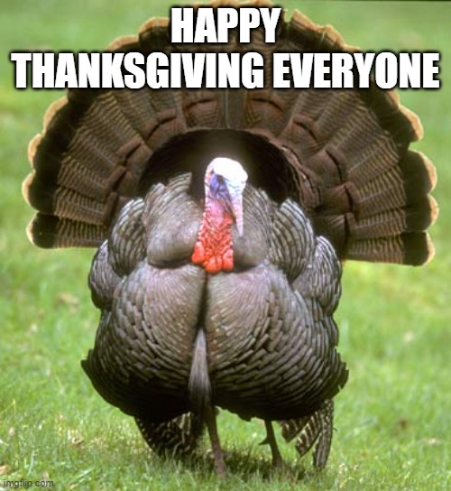 Turkey Meme | HAPPY THANKSGIVING EVERYONE | image tagged in memes,turkey,thanksgiving | made w/ Imgflip meme maker