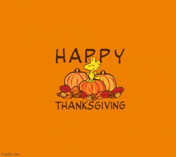 thanksgiving | image tagged in thanksgiving | made w/ Imgflip meme maker