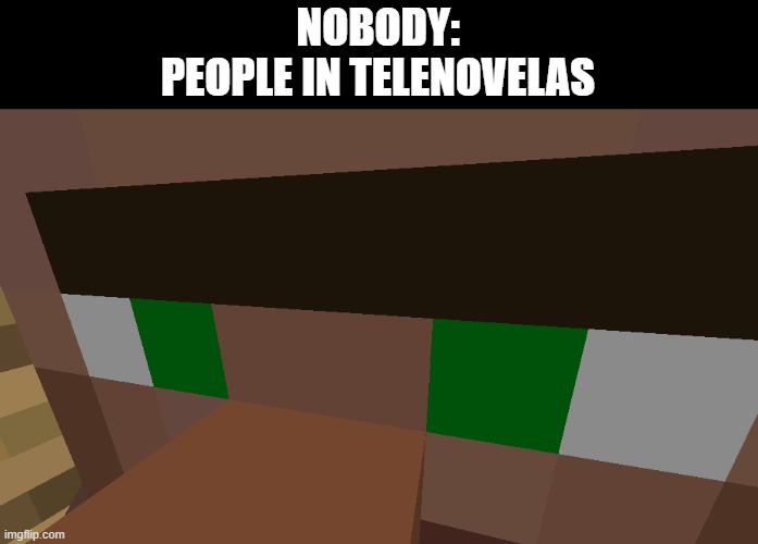 In Telenovelas, extreme close-ups are weird. I don't know if this was a thing.... | NOBODY:
PEOPLE IN TELENOVELAS | image tagged in funny,minecraft,minecraft villagers | made w/ Imgflip meme maker