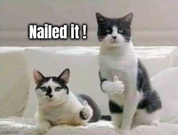Thumbs up Cats | Nailed it ! | image tagged in thumbs up cats | made w/ Imgflip meme maker