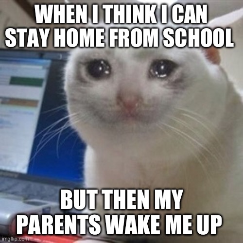First world problem | WHEN I THINK I CAN STAY HOME FROM SCHOOL; BUT THEN MY PARENTS WAKE ME UP | image tagged in crying cat | made w/ Imgflip meme maker