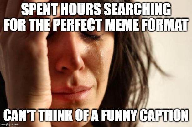Will anyone bother to rate the AI? | SPENT HOURS SEARCHING FOR THE PERFECT MEME FORMAT; CAN'T THINK OF A FUNNY CAPTION | image tagged in memes,first world problems,ai meme | made w/ Imgflip meme maker