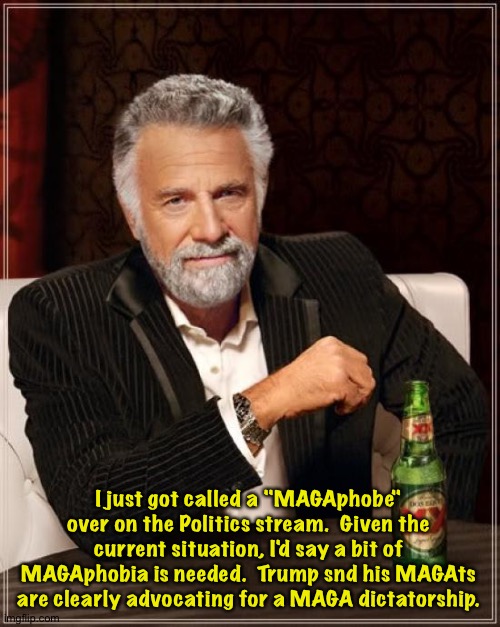 This is America.  Dictatorships not allowed. | I just got called a "MAGAphobe" over on the Politics stream.  Given the current situation, I'd say a bit of MAGAphobia is needed.  Trump snd his MAGAts are clearly advocating for a MAGA dictatorship. | image tagged in memes,the most interesting man in the world | made w/ Imgflip meme maker