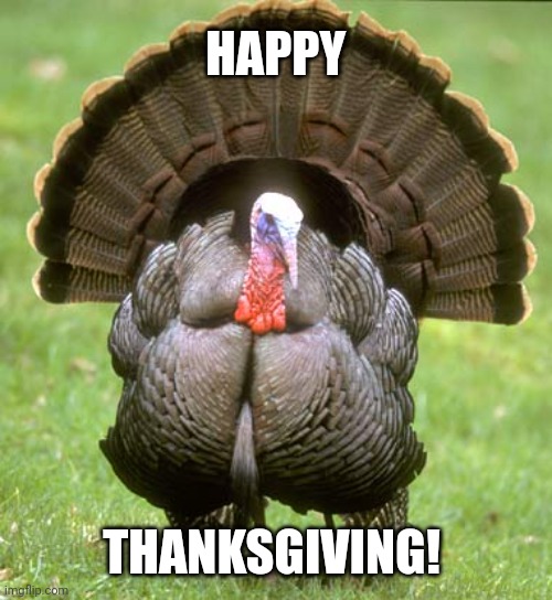 Turkey Meme | HAPPY; THANKSGIVING! | image tagged in memes,turkey | made w/ Imgflip meme maker