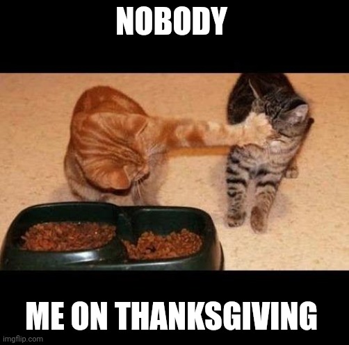 Happy Thanksgiving | NOBODY; ME ON THANKSGIVING | image tagged in cats share food | made w/ Imgflip meme maker