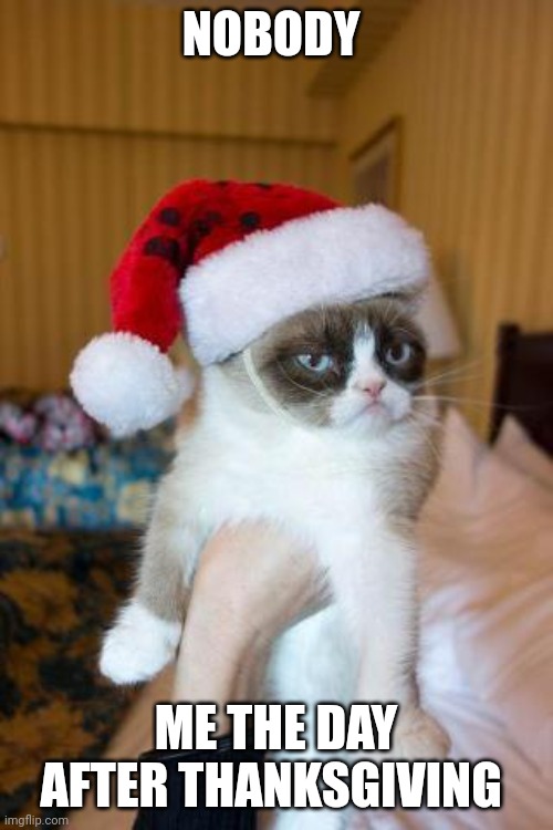 Ok | NOBODY; ME THE DAY AFTER THANKSGIVING | image tagged in memes,grumpy cat christmas,grumpy cat | made w/ Imgflip meme maker