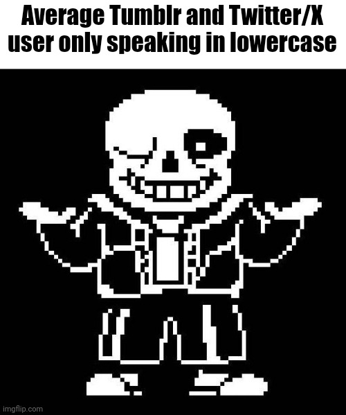 There's no first letter being capital/uppercase | Average Tumblr and Twitter/X user only speaking in lowercase | image tagged in sans undertale,memes,tumblr,twitter,undertale | made w/ Imgflip meme maker