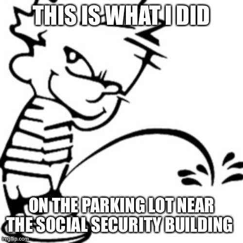piss on you | THIS IS WHAT I DID; ON THE PARKING LOT NEAR THE SOCIAL SECURITY BUILDING | image tagged in piss on you | made w/ Imgflip meme maker