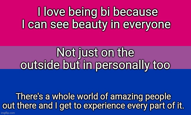 Bi flag | I love being bi because I can see beauty in everyone; Not just on the outside but in personally too; There's a whole world of amazing people out there and I get to experience every part of it. | image tagged in bi flag | made w/ Imgflip meme maker