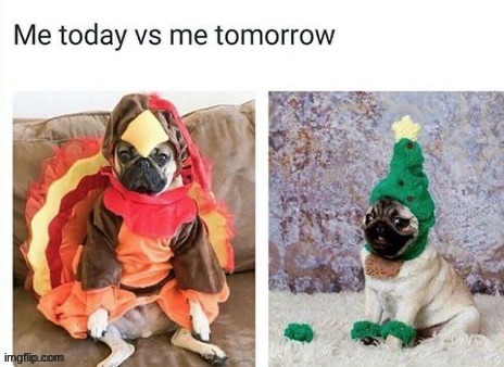 Today is the only day that this meme works | image tagged in memes,funny | made w/ Imgflip meme maker