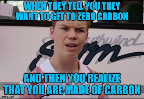Wait a minute | WHEN THEY TELL YOU THEY WANT TO GET TO ZERO CARBON; AND THEN YOU REALIZE THAT YOU ARE MADE OF CARBON | image tagged in you guys are getting paid | made w/ Imgflip meme maker