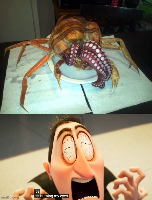 Cursed turkey | image tagged in it's burning my eyes,cursed,turkey,turkeys,cursed image,memes | made w/ Imgflip meme maker