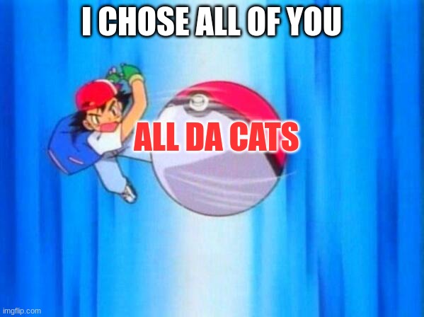 I choose you! | I CHOSE ALL OF YOU ALL DA CATS | image tagged in i choose you | made w/ Imgflip meme maker