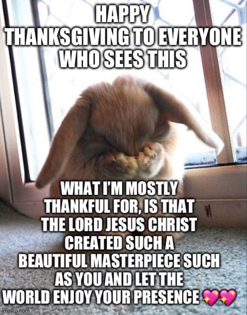 Happy thanksgiving everyone, you are loved unconditionally <3 | image tagged in wholesome,bunny,thanksgiving | made w/ Imgflip meme maker