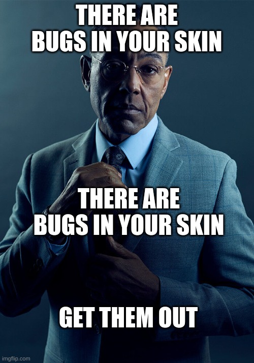 You know who else has dementia? My mom! You know who else has dementia? My mom! You know who else has dementia? My mom! You know | THERE ARE BUGS IN YOUR SKIN; THERE ARE BUGS IN YOUR SKIN; GET THEM OUT | image tagged in gus fring we are not the same | made w/ Imgflip meme maker