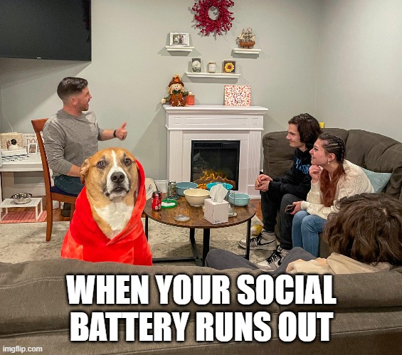 Patches the Dog | WHEN YOUR SOCIAL BATTERY RUNS OUT | image tagged in patches the dog | made w/ Imgflip meme maker