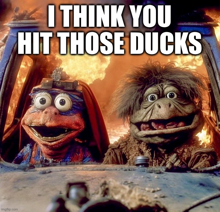 It happens | I THINK YOU HIT THOSE DUCKS | image tagged in puppets,mad max,memes,roadkill,bad driver | made w/ Imgflip meme maker