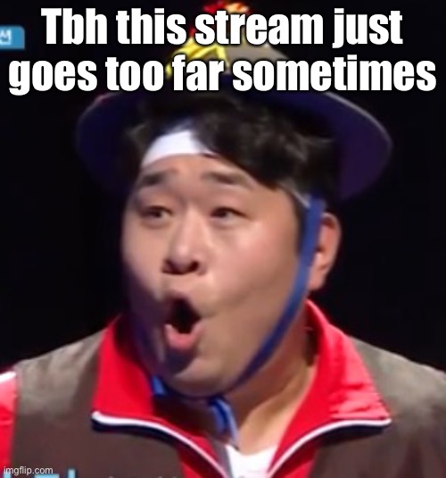 I’m usually here for shitposts and friends but man | Tbh this stream just goes too far sometimes; Like y’all literally harassed a new user to the point they leave | image tagged in seyoon | made w/ Imgflip meme maker