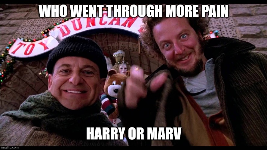 Who through | WHO WENT THROUGH MORE PAIN; HARRY OR MARV | image tagged in home alone hiya pal | made w/ Imgflip meme maker