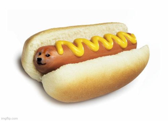 doge hot doge | image tagged in doge hot doge | made w/ Imgflip meme maker