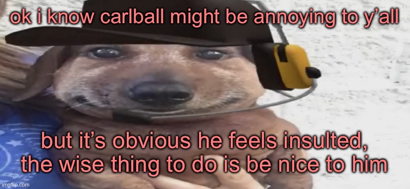 be the good guy in this situation | ok i know carlball might be annoying to y’all; but it’s obvious he feels insulted, the wise thing to do is be nice to him | image tagged in chucklenuts | made w/ Imgflip meme maker