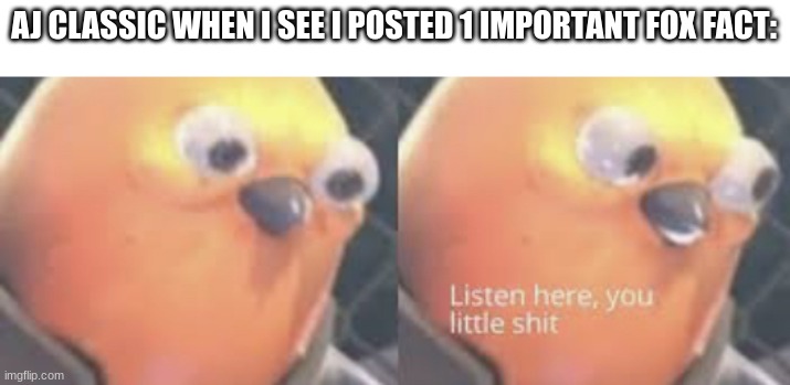 listen here im trying to be funny again. | AJ CLASSIC WHEN I SEE I POSTED 1 IMPORTANT FOX FACT: | image tagged in listen here you little shit bird | made w/ Imgflip meme maker