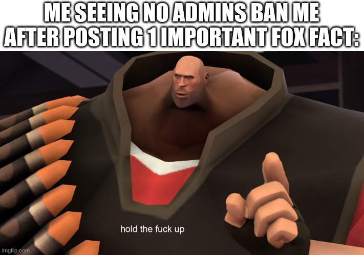 wiat | ME SEEING NO ADMINS BAN ME AFTER POSTING 1 IMPORTANT FOX FACT: | image tagged in hold the f up,hold up | made w/ Imgflip meme maker