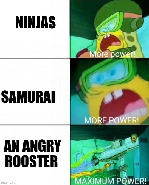 Angry rooster | NINJAS; SAMURAI; AN ANGRY ROOSTER | image tagged in spongebob more power | made w/ Imgflip meme maker