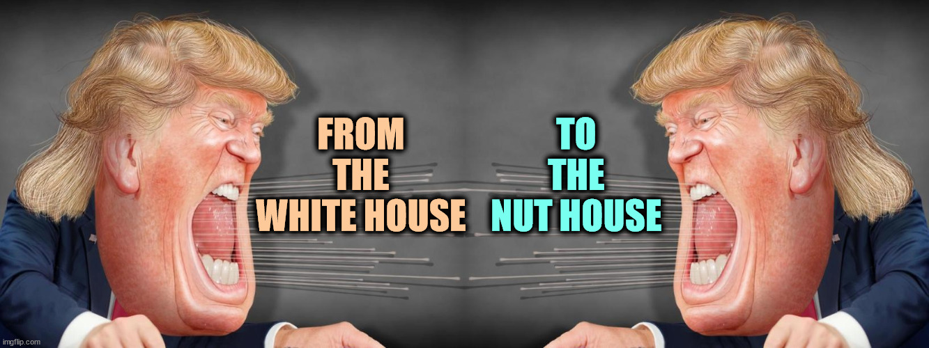 So sick. So very sick. | FROM THE WHITE HOUSE; TO THE NUT HOUSE | image tagged in trump,white house,nut house,insane,crazy,malignant narcissism | made w/ Imgflip meme maker