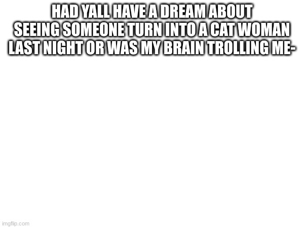 tell me if you had a weird dream in the comments | HAD YALL HAVE A DREAM ABOUT SEEING SOMEONE TURN INTO A CAT WOMAN LAST NIGHT OR WAS MY BRAIN TROLLING ME- | image tagged in cursed cat,cursed dream,dream,weird dreams | made w/ Imgflip meme maker