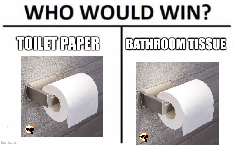 Toilet paper vs Bathroom tissue | BATHROOM TISSUE; TOILET PAPER | image tagged in memes,who would win | made w/ Imgflip meme maker