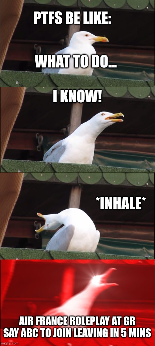 Inhaling Seagull | PTFS BE LIKE:; WHAT TO DO... I KNOW! *INHALE*; AIR FRANCE ROLEPLAY AT GR SAY ABC TO JOIN LEAVING IN 5 MINS | image tagged in memes,inhaling seagull | made w/ Imgflip meme maker