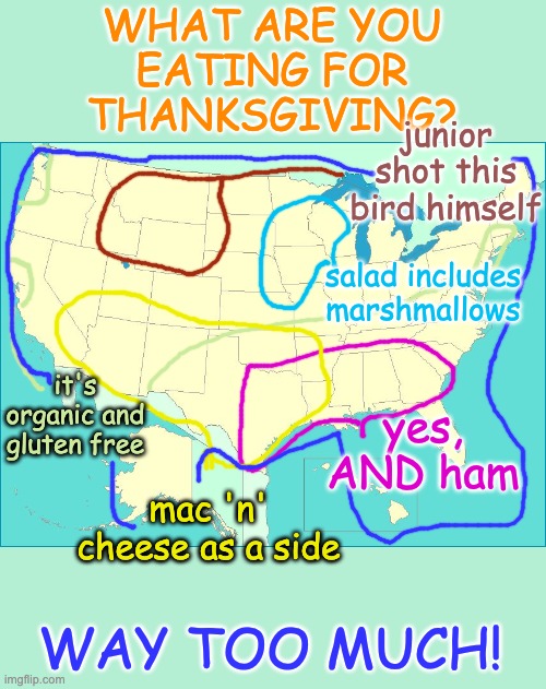 Much divides us, but let's embrace our diversity | WHAT ARE YOU
EATING FOR
THANKSGIVING? junior shot this bird himself; salad includes marshmallows; it's organic and gluten free; yes, AND ham; mac 'n' cheese as a side; WAY TOO MUCH! | image tagged in usa map,holidays,food,thanksgiving,america | made w/ Imgflip meme maker
