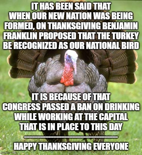 We Could Have Been Turkeys | IT HAS BEEN SAID THAT WHEN OUR NEW NATION WAS BEING FORMED, ON THANKSGIVING BENJAMIN FRANKLIN PROPOSED THAT THE TURKEY BE RECOGNIZED AS OUR NATIONAL BIRD; IT IS BECAUSE OF THAT CONGRESS PASSED A BAN ON DRINKING WHILE WORKING AT THE CAPITAL THAT IS IN PLACE TO THIS DAY
-----------------------------------
HAPPY THANKSGIVING EVERYONE | image tagged in memes,turkey,ben franklin,congress,thanksgiving,america | made w/ Imgflip meme maker