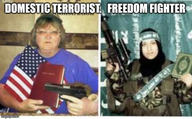 Freedom fighter | DOMESTIC TERRORIST.   FREEDOM FIGHTER | image tagged in terrorism,freedom | made w/ Imgflip meme maker