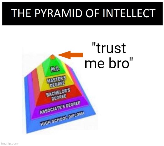 PYRAMID OF INTELLECT BLANK | "trust me bro" | image tagged in pyramid of intellect blank | made w/ Imgflip meme maker