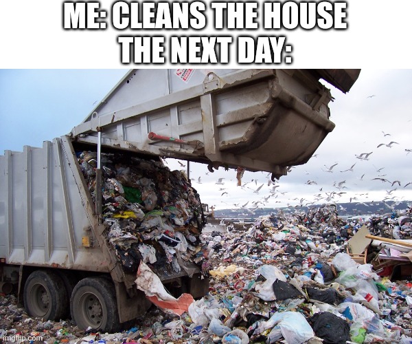 garbage dump | ME: CLEANS THE HOUSE
THE NEXT DAY: | image tagged in garbage dump | made w/ Imgflip meme maker