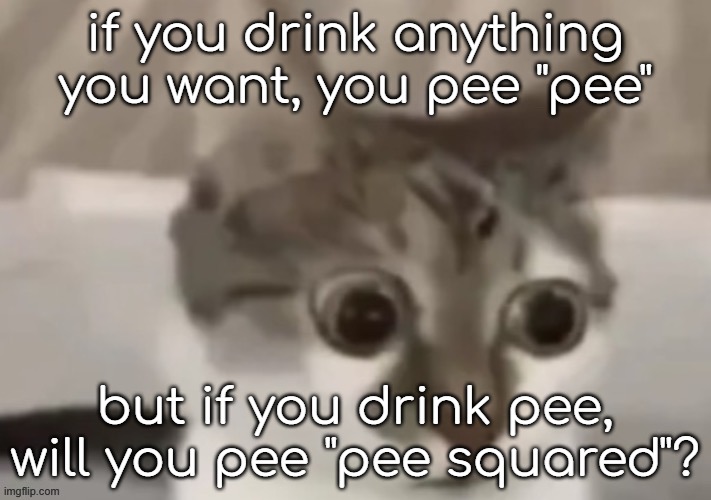 i thought that while peeing in the shower | if you drink anything you want, you pee "pee"; but if you drink pee, will you pee "pee squared"? | image tagged in bombastic side eye cat | made w/ Imgflip meme maker