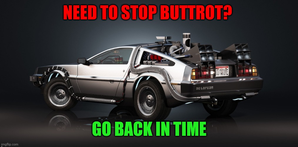 Need to Stop Buttrot? | NEED TO STOP BUTTROT? GO BACK IN TIME | image tagged in delorean,funny memes | made w/ Imgflip meme maker